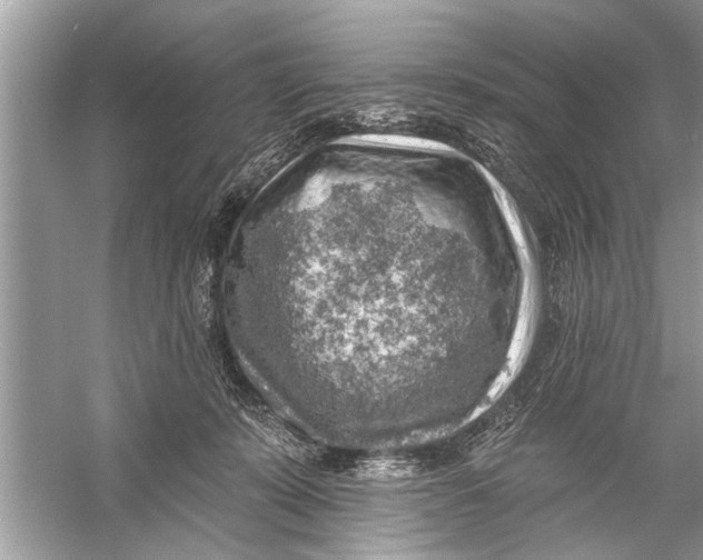 X0000055990319200509162258