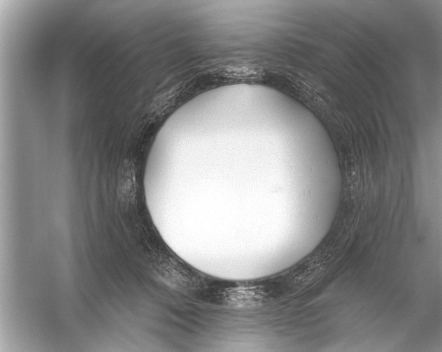 X0000055990320200509162258