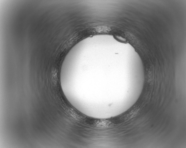 X0000055990321200509162258