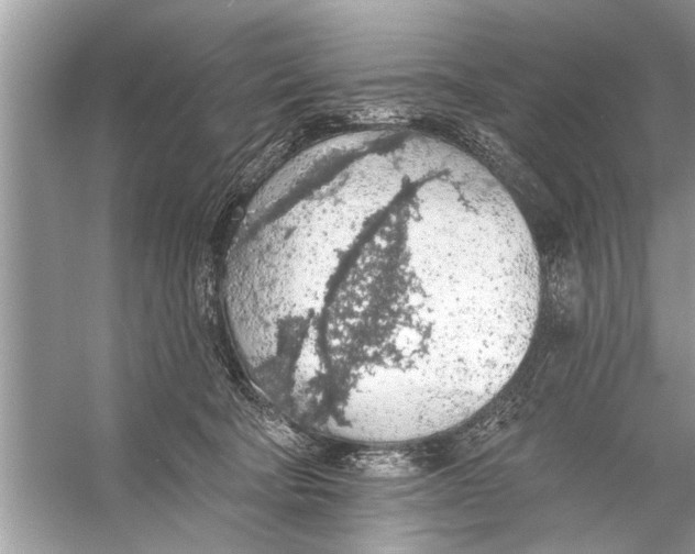 X0000055990322200509162258