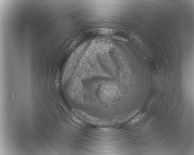 X0000055990325200509162258