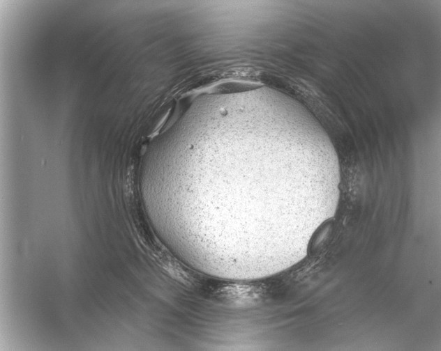 X0000055990326200509162258