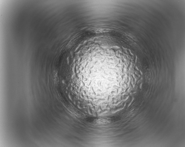 X0000055990327200509162258