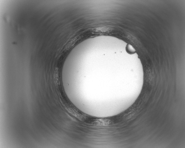 X0000055990328200509162258