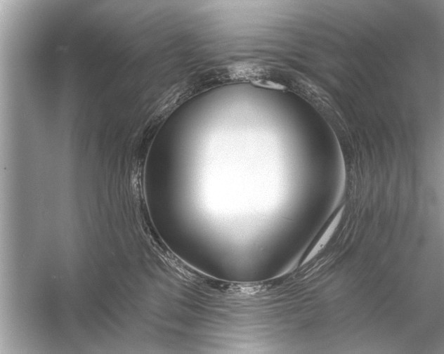 X0000055990329200509162258