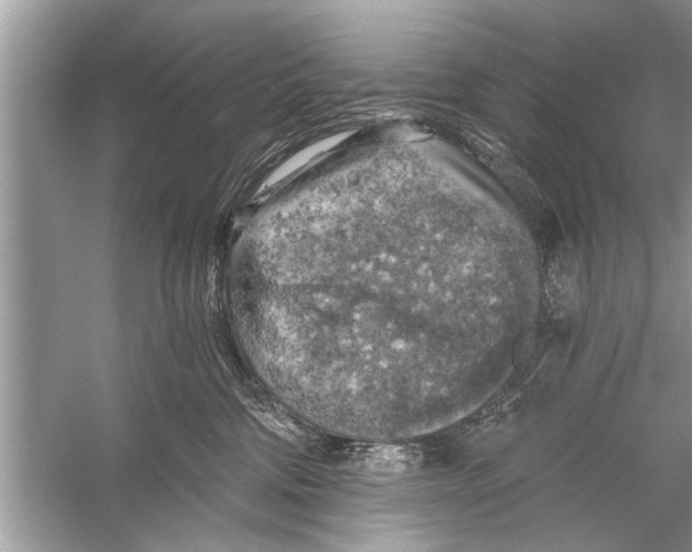 X0000055990330200509162258