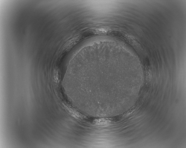 X0000055990331200509162258