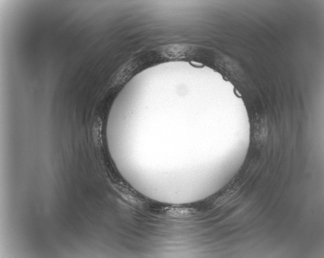 X0000055990332200509162258