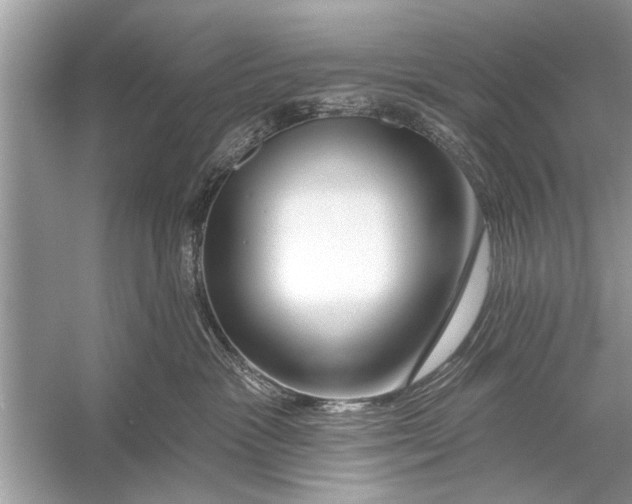 X0000055990333200509162258