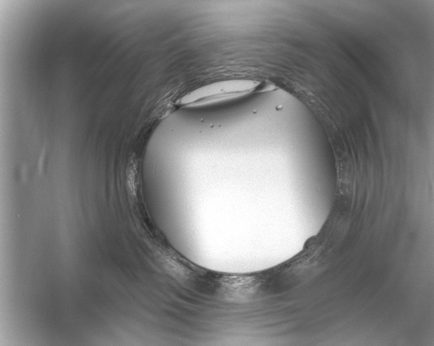 X0000055990334200509162258