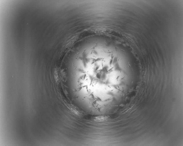 X0000055990335200509162258