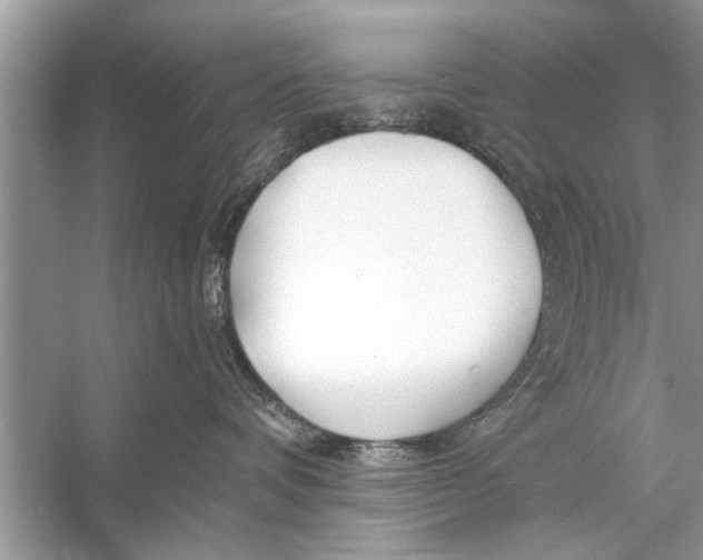 X0000055990336200509162258