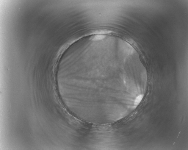 X0000055990337200509162257