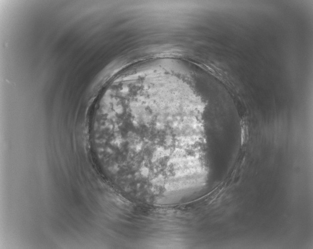 X0000055990339200509162257