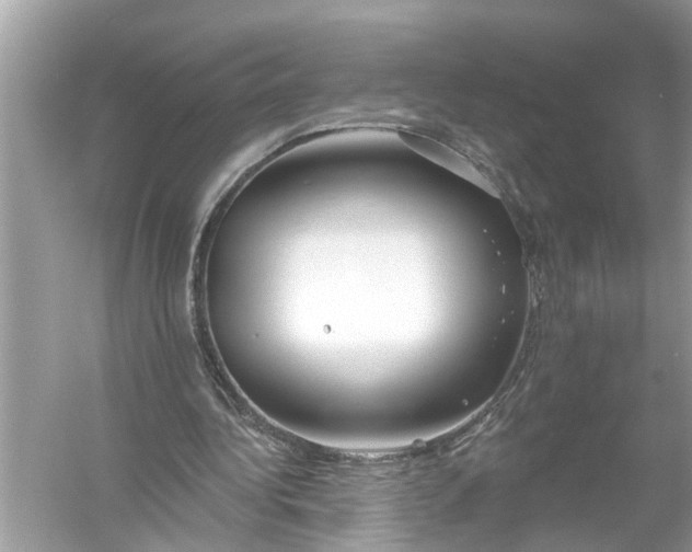 X0000055990340200509162257