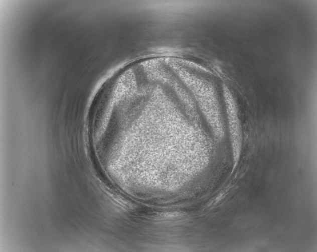 X0000055990342200509162257