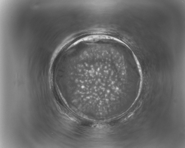 X0000055990343200509162257