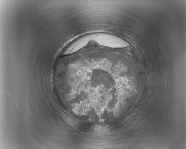 X0000055990346200509162257