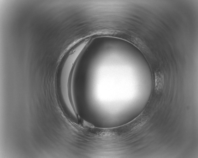 X0000055990348200509162257