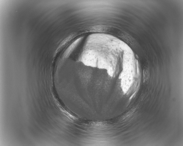 X0000055990349200509162257