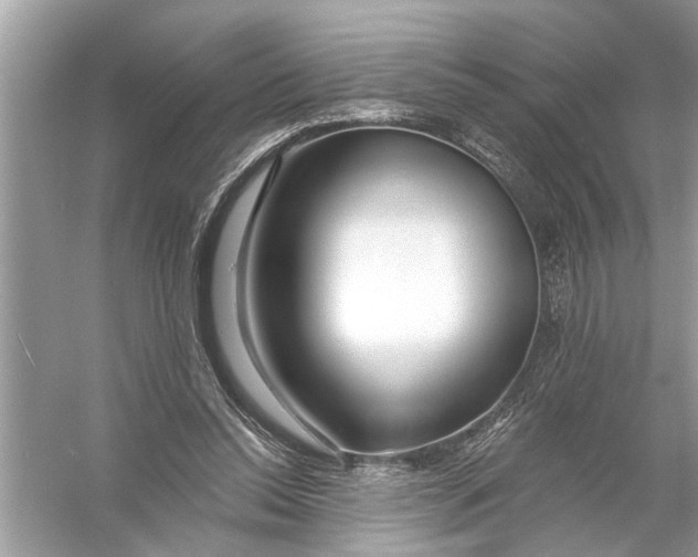 X0000055990350200509162257