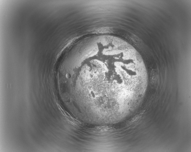 X0000055990351200509162257