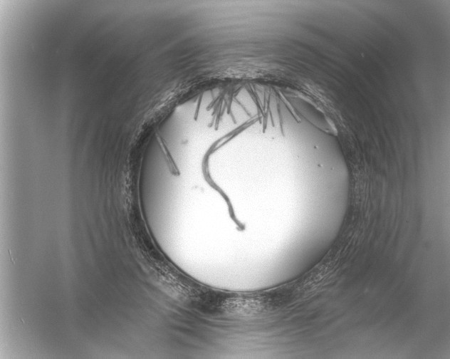 X0000055990354200509162257