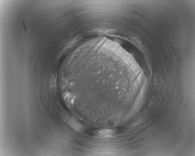 X0000055990357200509162257