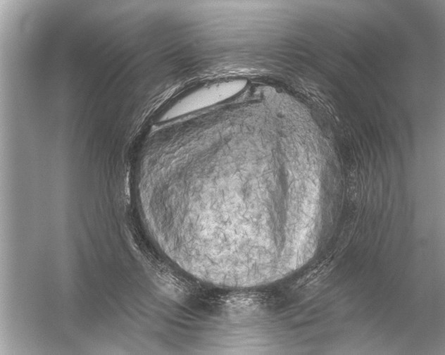 X0000055990358200509162257