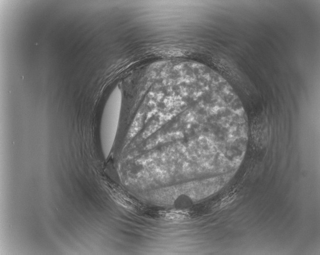 X0000055990359200509162257