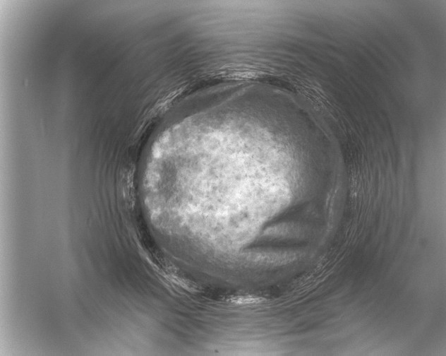 X0000055990360200509162257