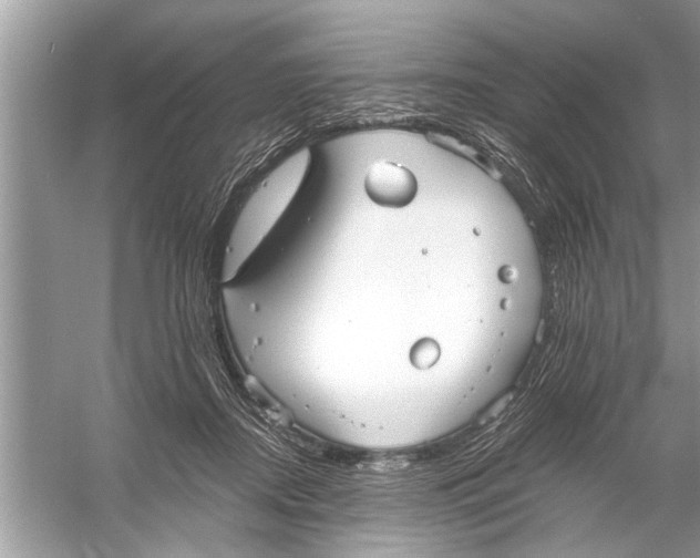 X0000055990362200509162257