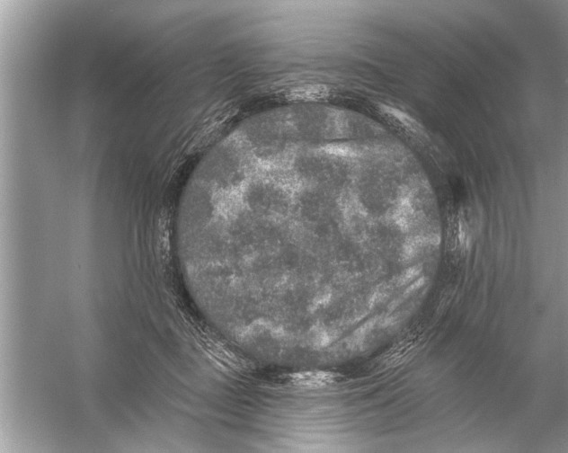 X0000055990363200509162257