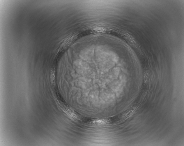 X0000055990365200509162258