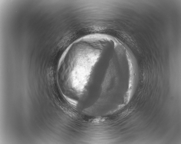 X0000055990366200509162258