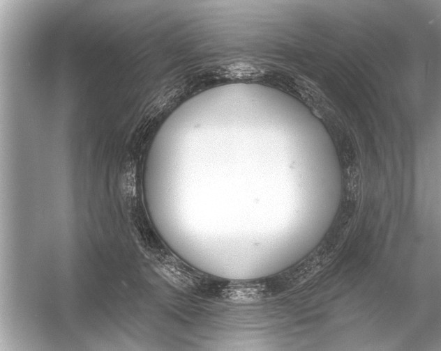 X0000055990368200509162258