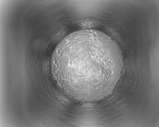 X0000055990369200509162258