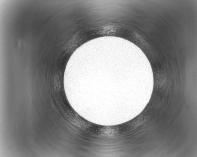 X0000055990370200509162258