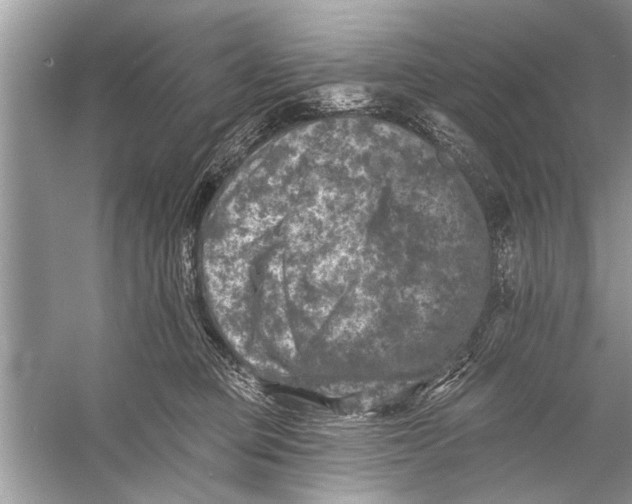 X0000055990373200509162258