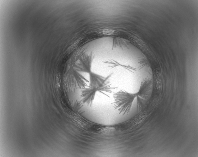 X0000055990374200509162258