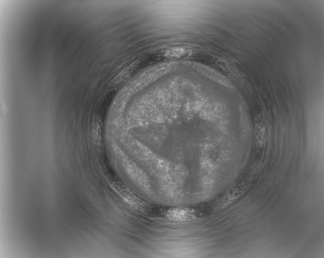 X0000055990375200509162258