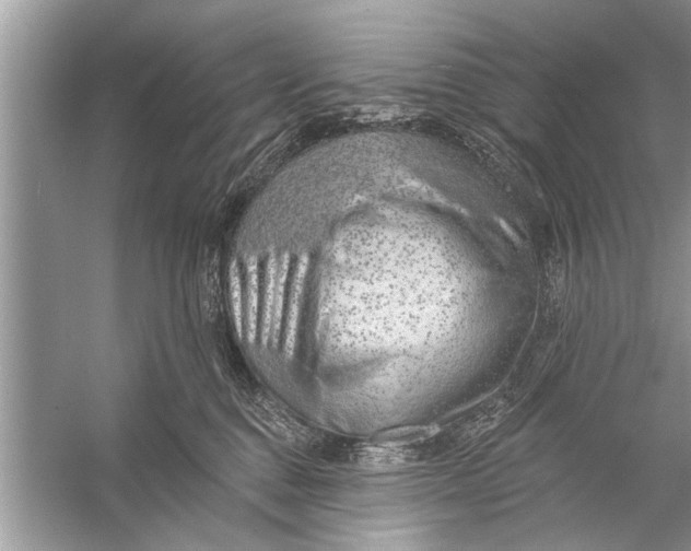 X0000055990376200509162258