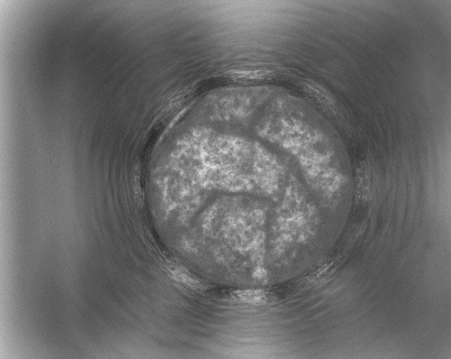 X0000055990377200509162258