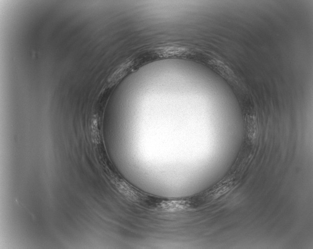 X0000055990378200509162258