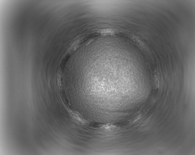 X0000055990379200509162258