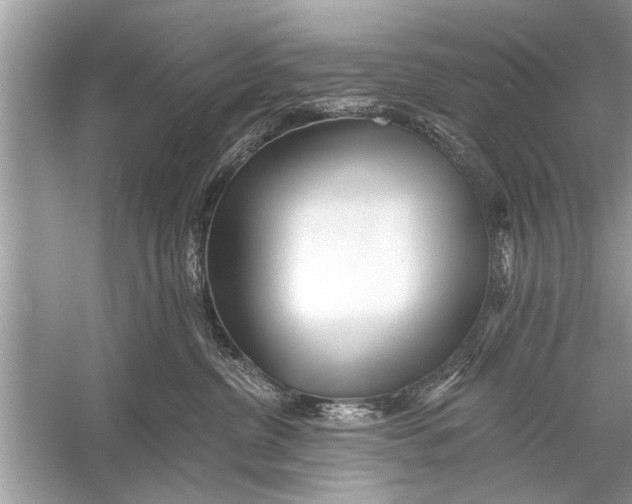 X0000055990380200509162258