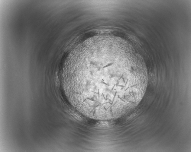 X0000055990381200509162258