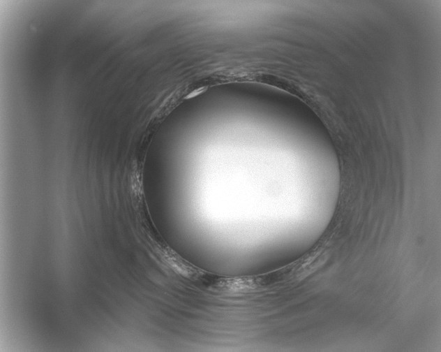 X0000055990384200509162258