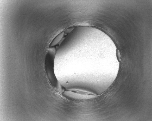 X0000055990385200509162257