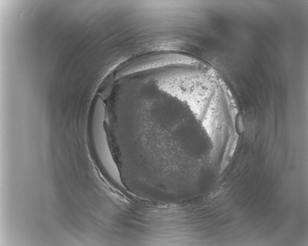 X0000055990386200509162257